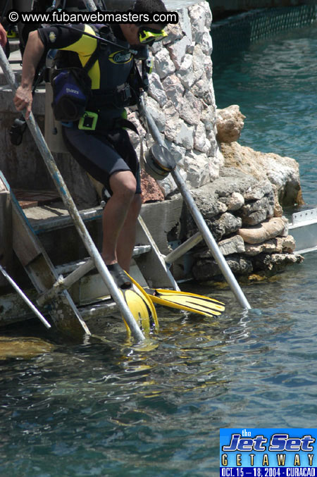 Sunday's Dolphin Swim Adventure and Animal Encounter 2004