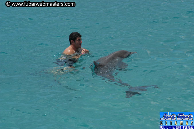 Sunday's Dolphin Swim Adventure and Animal Encounter 2004