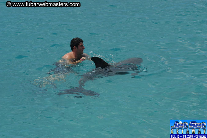 Sunday's Dolphin Swim Adventure and Animal Encounter 2004