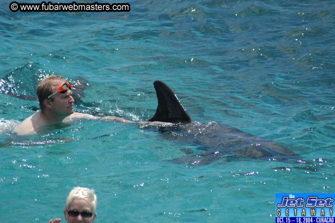 Sunday's Dolphin Swim Adventure and Animal Encounter 2004