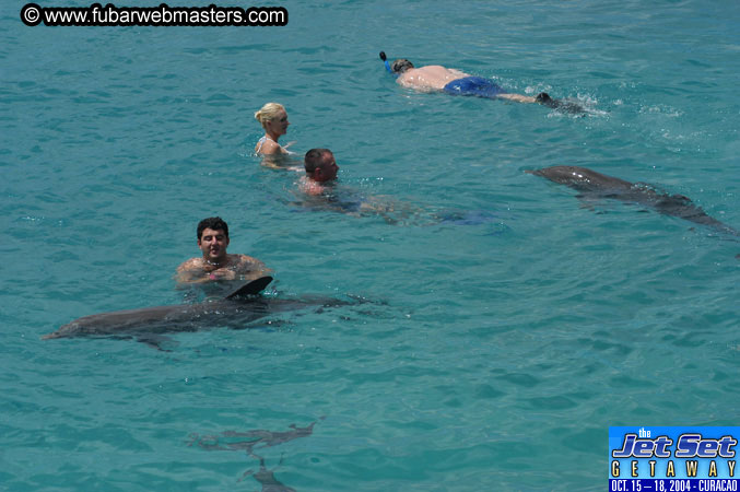 Sunday's Dolphin Swim Adventure and Animal Encounter 2004