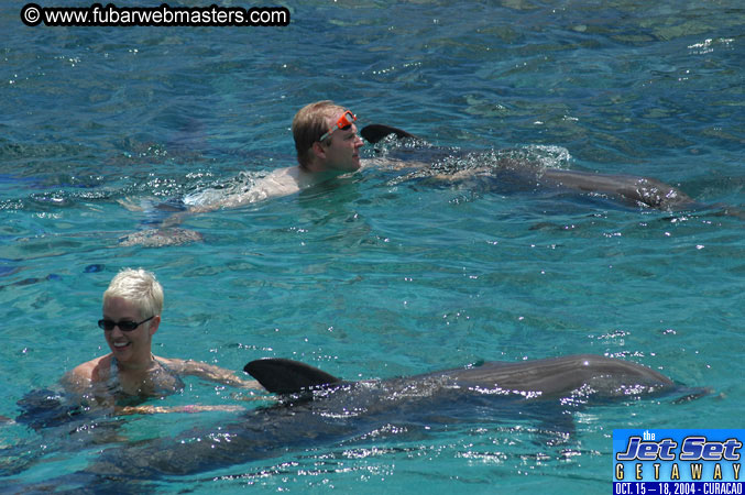Sunday's Dolphin Swim Adventure and Animal Encounter 2004