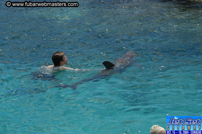 Sunday's Dolphin Swim Adventure and Animal Encounter 2004