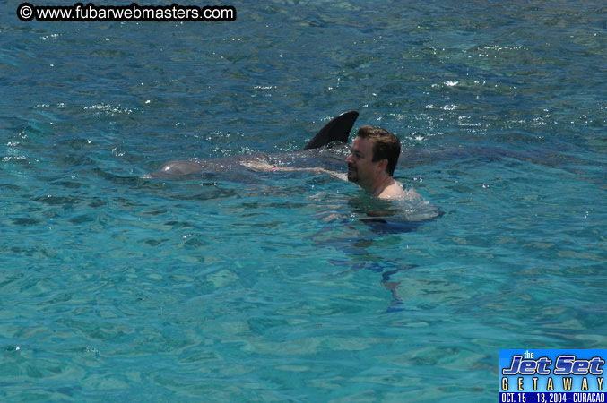 Sunday's Dolphin Swim Adventure and Animal Encounter 2004