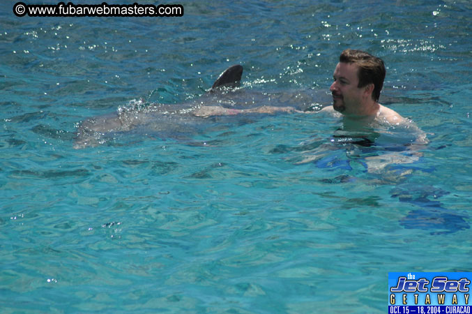 Sunday's Dolphin Swim Adventure and Animal Encounter 2004