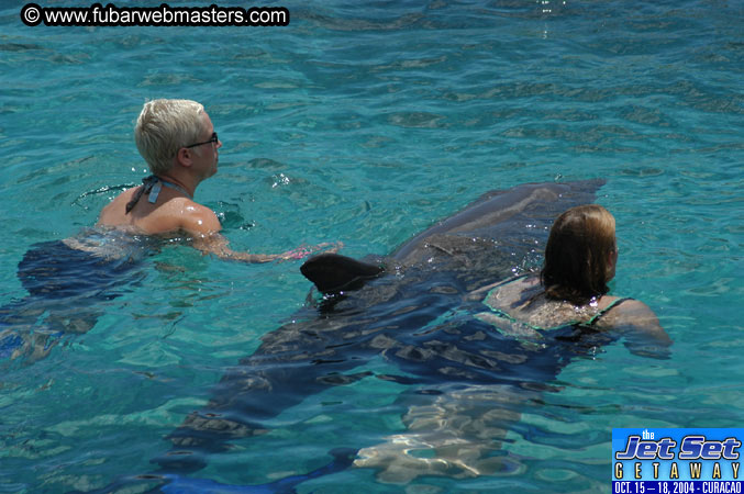 Sunday's Dolphin Swim Adventure and Animal Encounter 2004