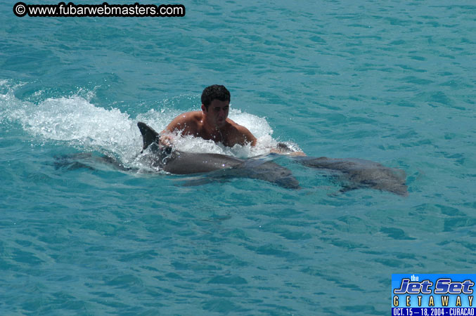 Sunday's Dolphin Swim Adventure and Animal Encounter 2004