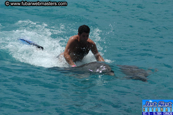 Sunday's Dolphin Swim Adventure and Animal Encounter 2004