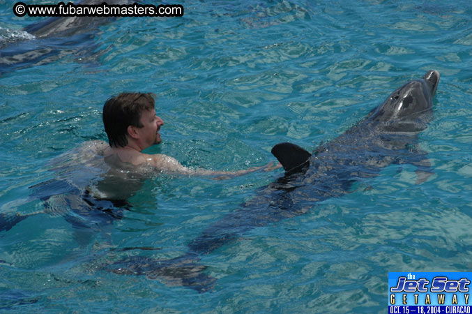 Sunday's Dolphin Swim Adventure and Animal Encounter 2004