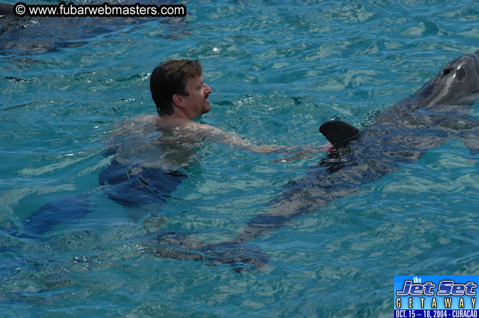 Sunday's Dolphin Swim Adventure and Animal Encounter 2004