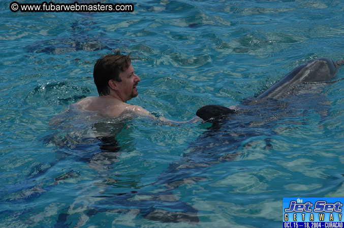 Sunday's Dolphin Swim Adventure and Animal Encounter 2004