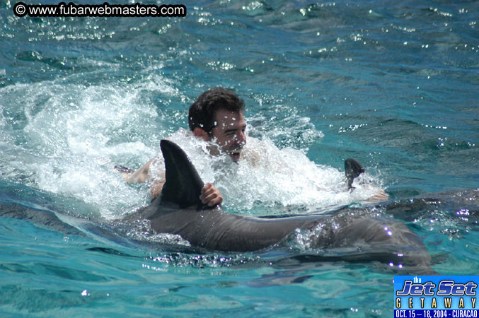 Sunday's Dolphin Swim Adventure and Animal Encounter 2004
