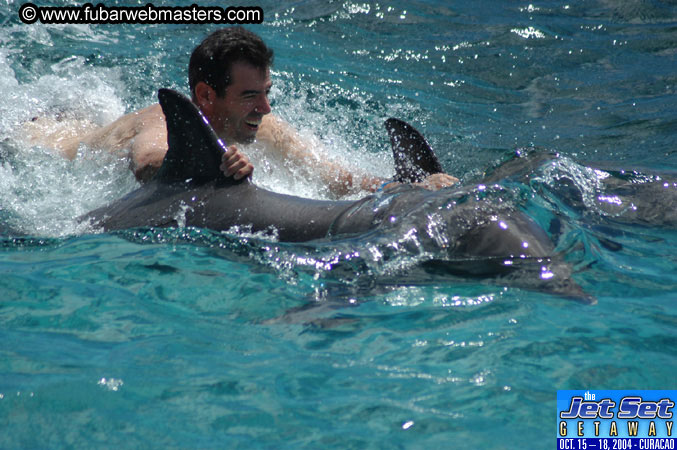 Sunday's Dolphin Swim Adventure and Animal Encounter 2004