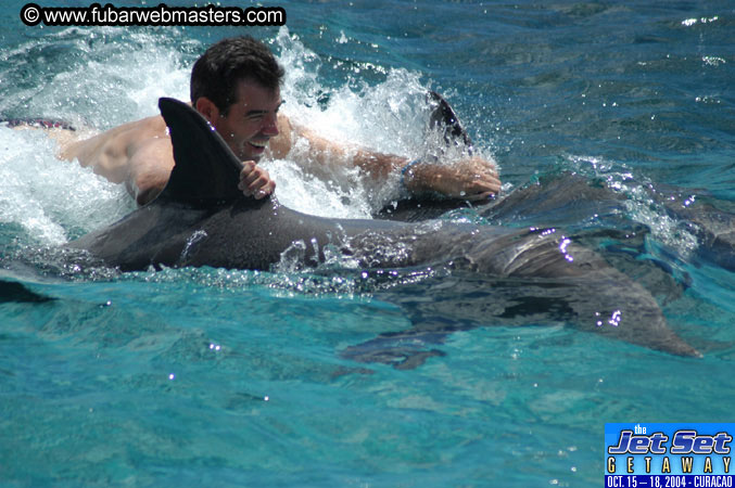 Sunday's Dolphin Swim Adventure and Animal Encounter 2004