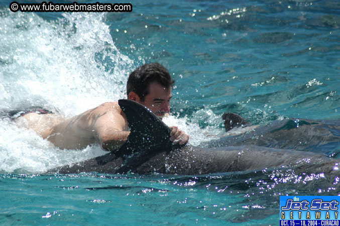 Sunday's Dolphin Swim Adventure and Animal Encounter 2004
