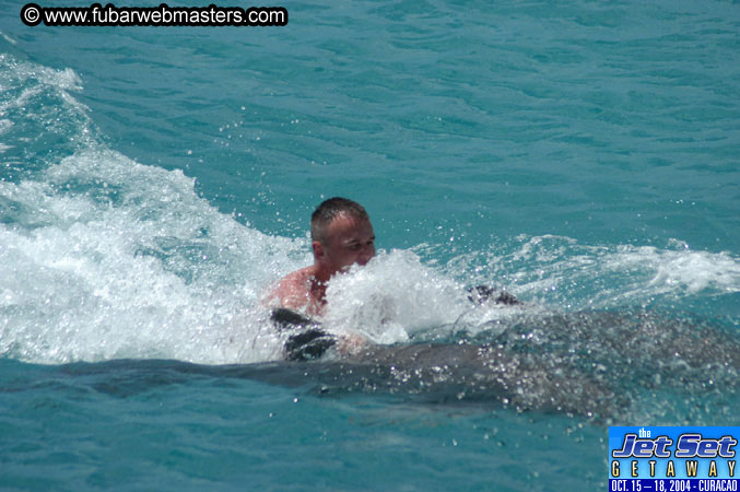 Sunday's Dolphin Swim Adventure and Animal Encounter 2004