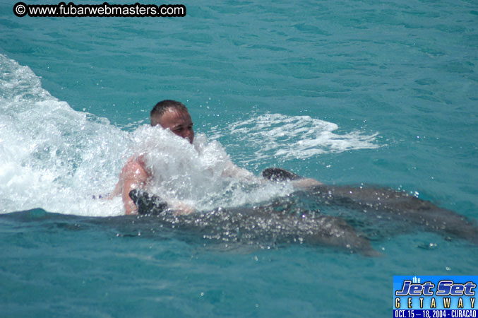 Sunday's Dolphin Swim Adventure and Animal Encounter 2004