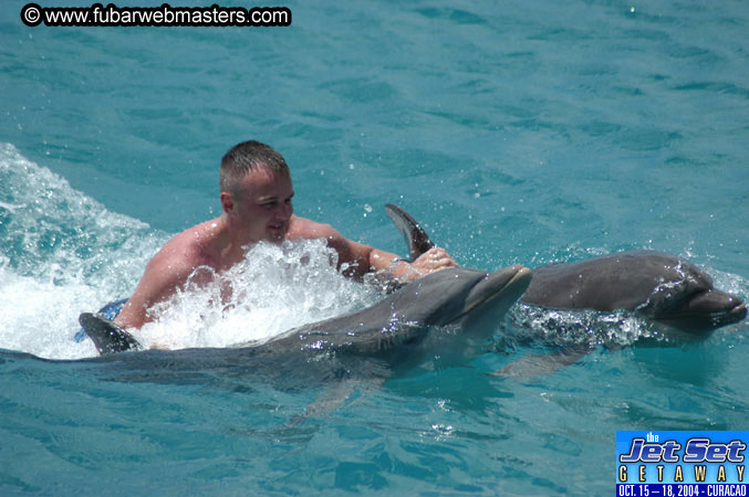 Sunday's Dolphin Swim Adventure and Animal Encounter 2004