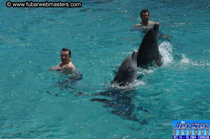 Sunday's Dolphin Swim Adventure and Animal Encounter 2004
