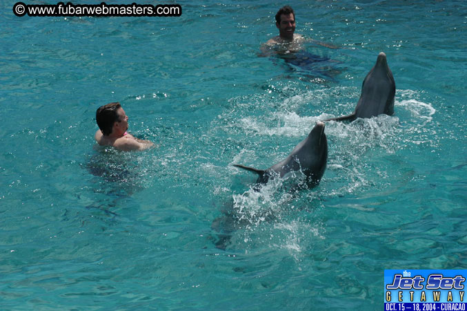 Sunday's Dolphin Swim Adventure and Animal Encounter 2004