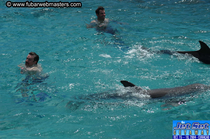 Sunday's Dolphin Swim Adventure and Animal Encounter 2004