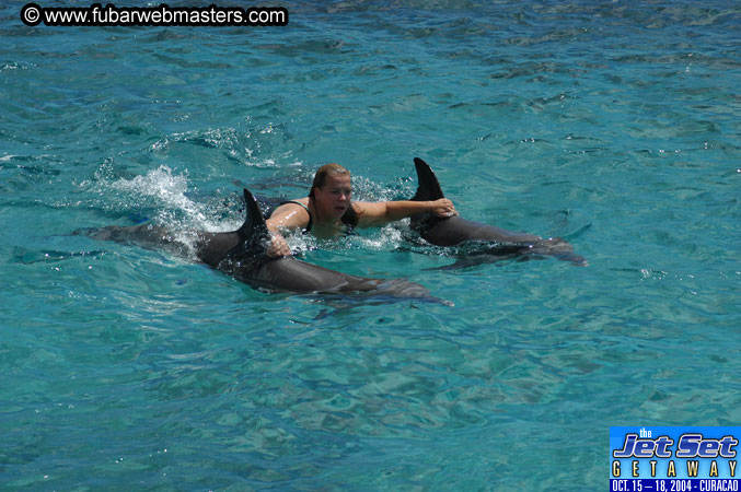 Sunday's Dolphin Swim Adventure and Animal Encounter 2004