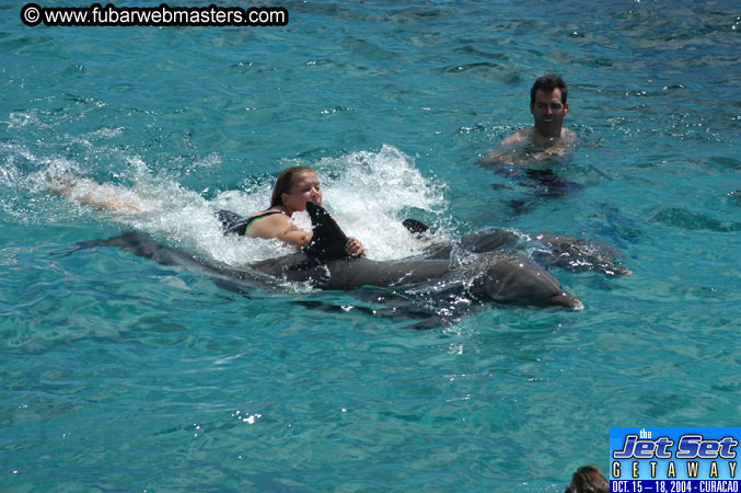 Sunday's Dolphin Swim Adventure and Animal Encounter 2004