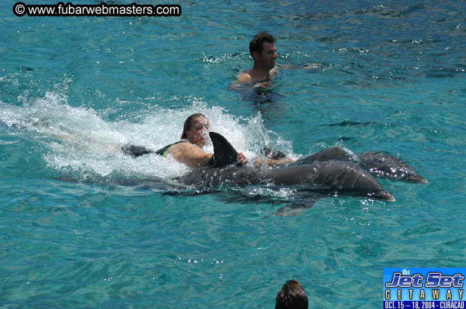 Sunday's Dolphin Swim Adventure and Animal Encounter 2004