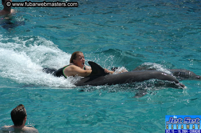 Sunday's Dolphin Swim Adventure and Animal Encounter 2004