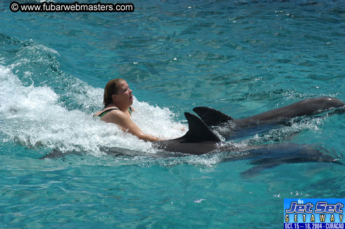 Sunday's Dolphin Swim Adventure and Animal Encounter 2004