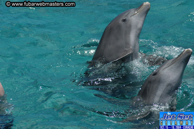 Sunday's Dolphin Swim Adventure and Animal Encounter 2004