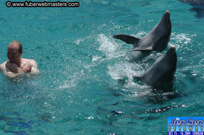 Sunday's Dolphin Swim Adventure and Animal Encounter 2004
