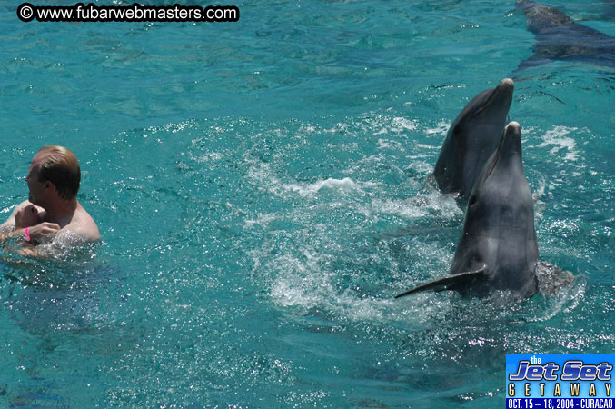 Sunday's Dolphin Swim Adventure and Animal Encounter 2004