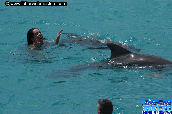 Sunday's Dolphin Swim Adventure and Animal Encounter 2004