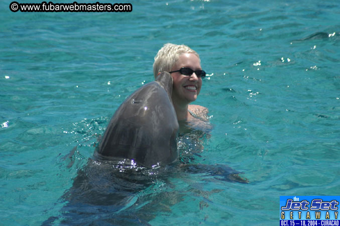 Sunday's Dolphin Swim Adventure and Animal Encounter 2004
