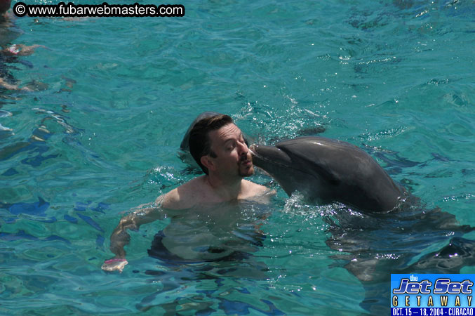 Sunday's Dolphin Swim Adventure and Animal Encounter 2004