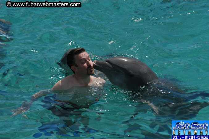 Sunday's Dolphin Swim Adventure and Animal Encounter 2004
