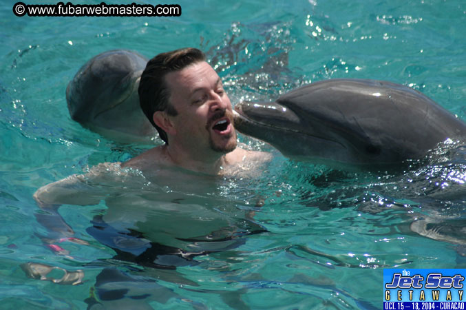 Sunday's Dolphin Swim Adventure and Animal Encounter 2004