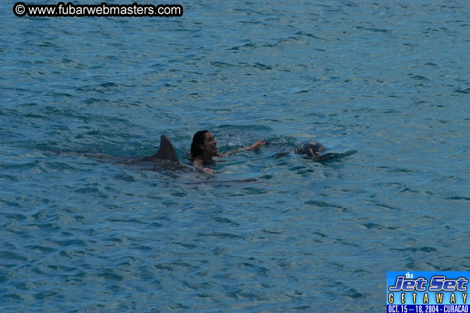 Sunday's Dolphin Swim Adventure and Animal Encounter 2004