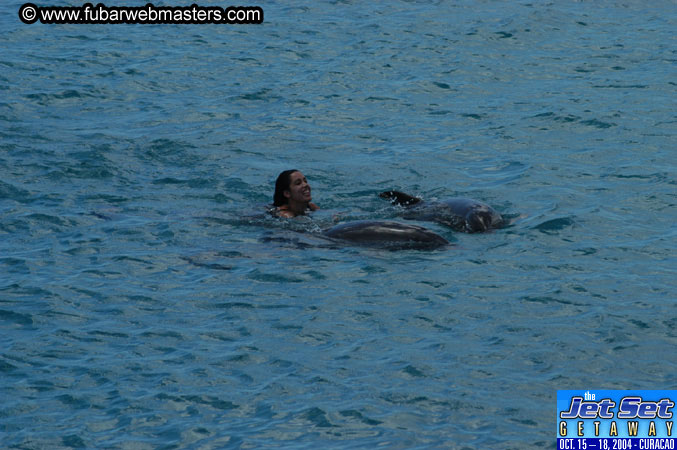Sunday's Dolphin Swim Adventure and Animal Encounter 2004