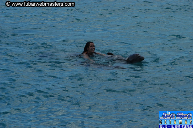 Sunday's Dolphin Swim Adventure and Animal Encounter 2004