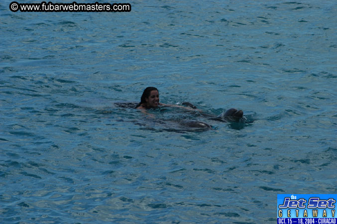 Sunday's Dolphin Swim Adventure and Animal Encounter 2004