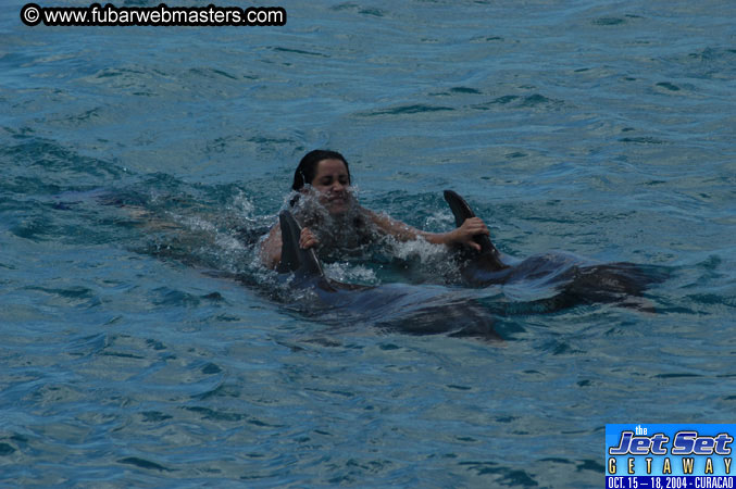 Sunday's Dolphin Swim Adventure and Animal Encounter 2004
