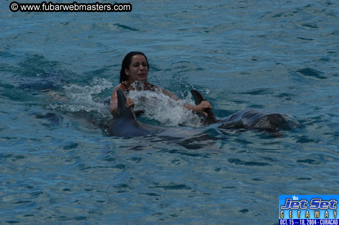 Sunday's Dolphin Swim Adventure and Animal Encounter 2004