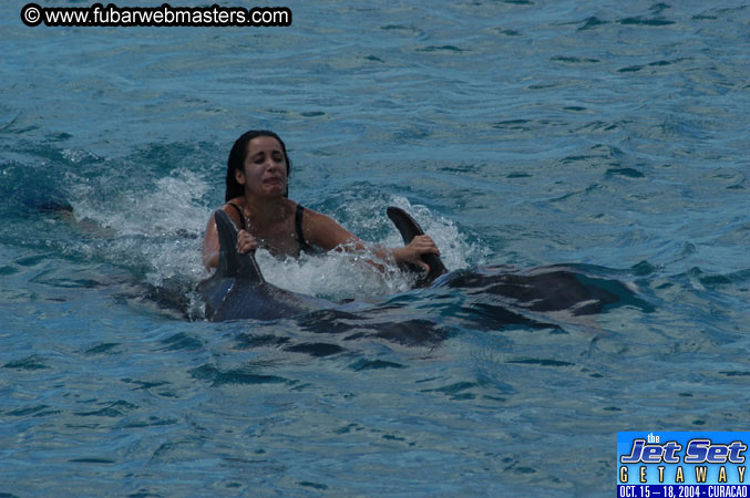 Sunday's Dolphin Swim Adventure and Animal Encounter 2004