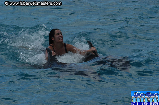 Sunday's Dolphin Swim Adventure and Animal Encounter 2004