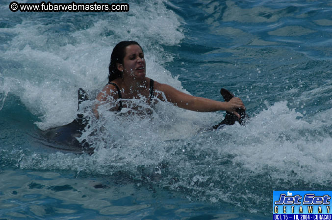 Sunday's Dolphin Swim Adventure and Animal Encounter 2004