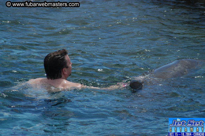 Sunday's Dolphin Swim Adventure and Animal Encounter 2004