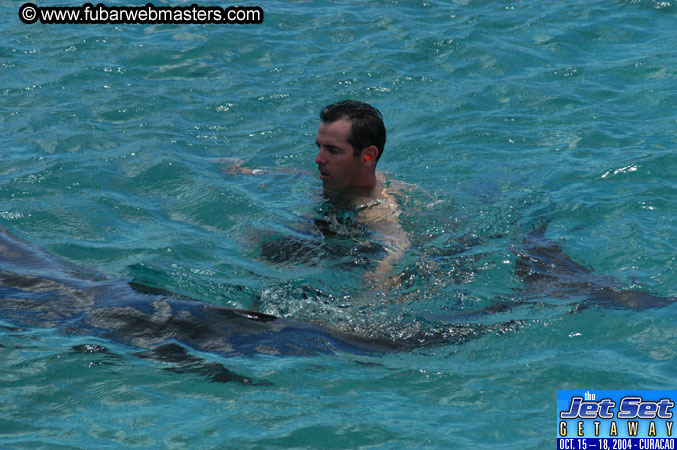 Sunday's Dolphin Swim Adventure and Animal Encounter 2004