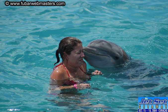 Sunday's Dolphin Swim Adventure and Animal Encounter 2004